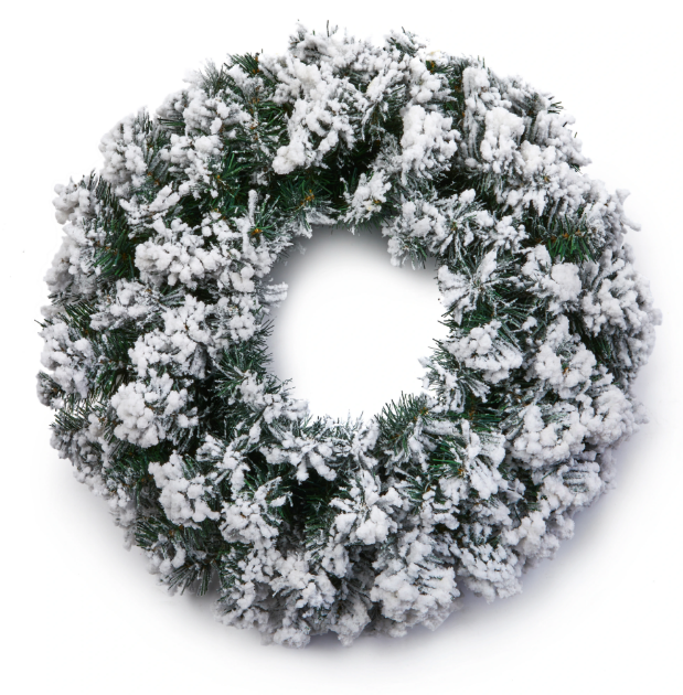 Picture of 50cm Flocked Spruce Wreath