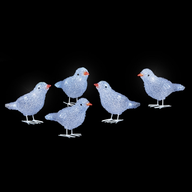 Picture of 5 Piece Acrylic Bird Set