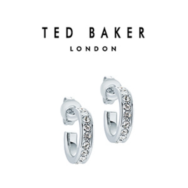 Picture of Ted Baker Crystal Hinge Earrings