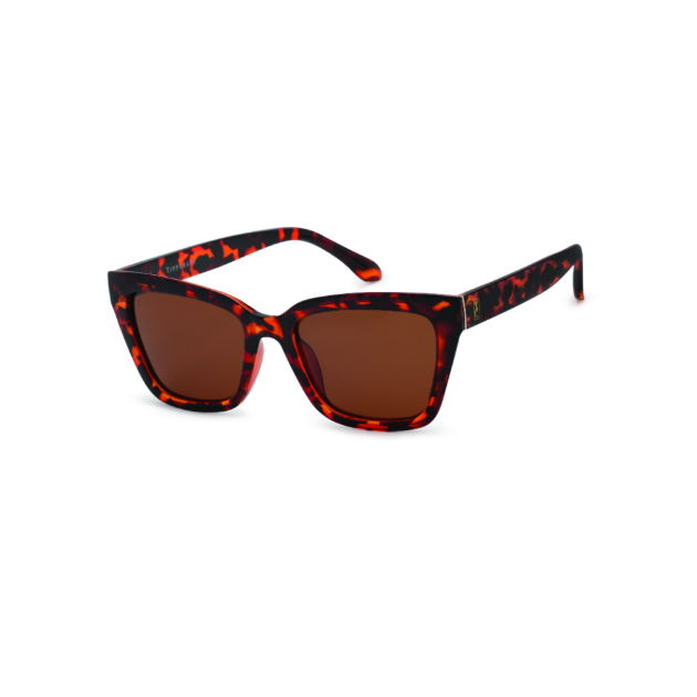 Picture of TC Sol Sunglasses TORTOISE