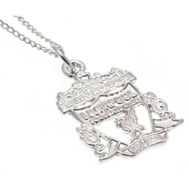 Picture of Silver Team Pendant