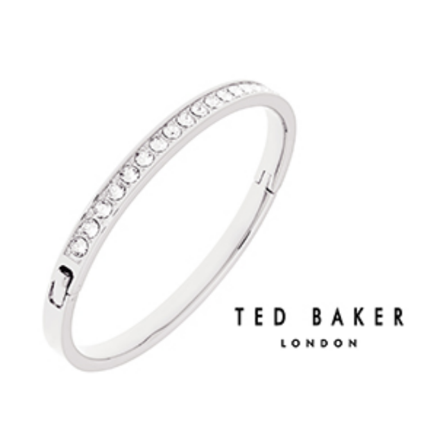 Picture of Ted Baker Hinge Bangle